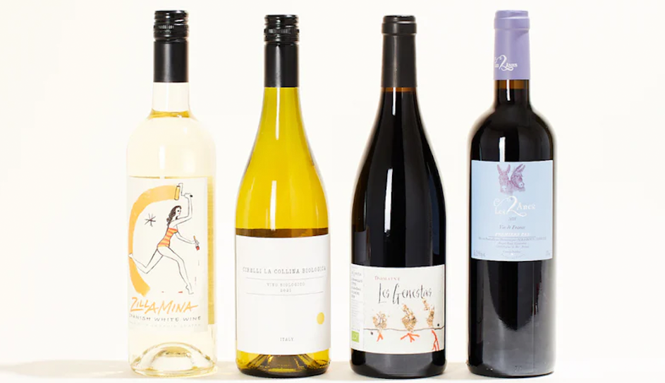 February 2023: Co-ferments with Gwen Gunheim