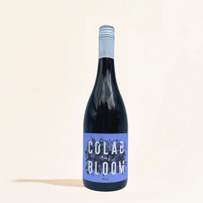Shiraz Collab and Bloom Red Wine